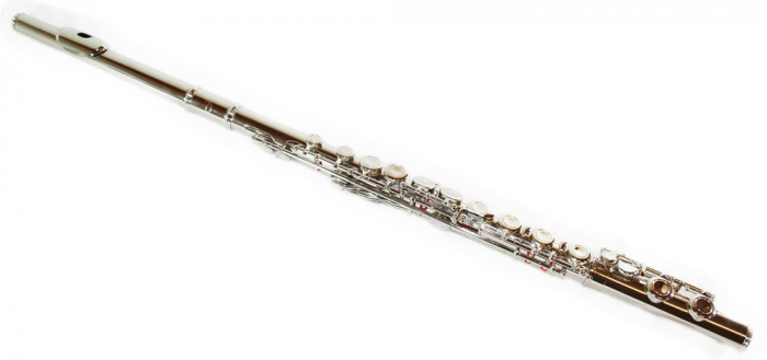 Flaut Parrot 6456 Silver Flute C [5]