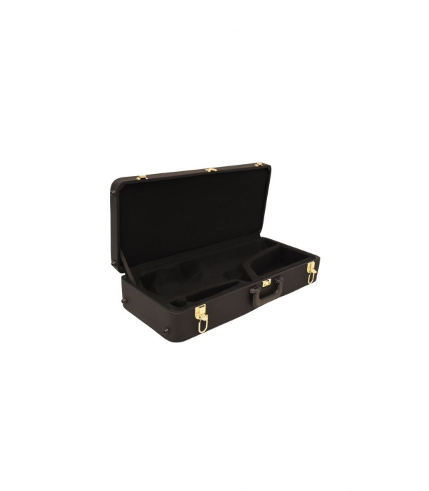 Cutie / Case / Husa transport Saxofon ALTO Parrot [2]