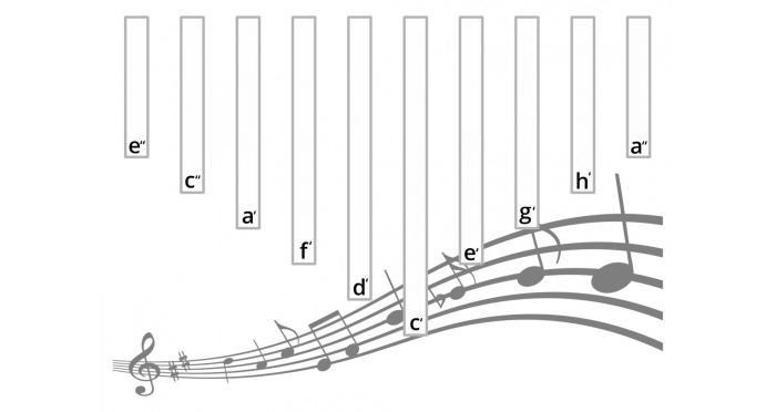 Kalimba XDrum 10 tonuri [3]