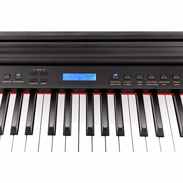 Pian Digital Hemingway DP-501 MKII AT NEGRU [14]