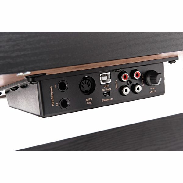 Pian Digital Hemingway DP-501 MKII AT NEGRU [17]