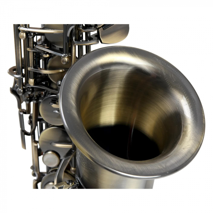 Saxofon Alto Classic Cantabile AS-450 Eb Vintage [2]