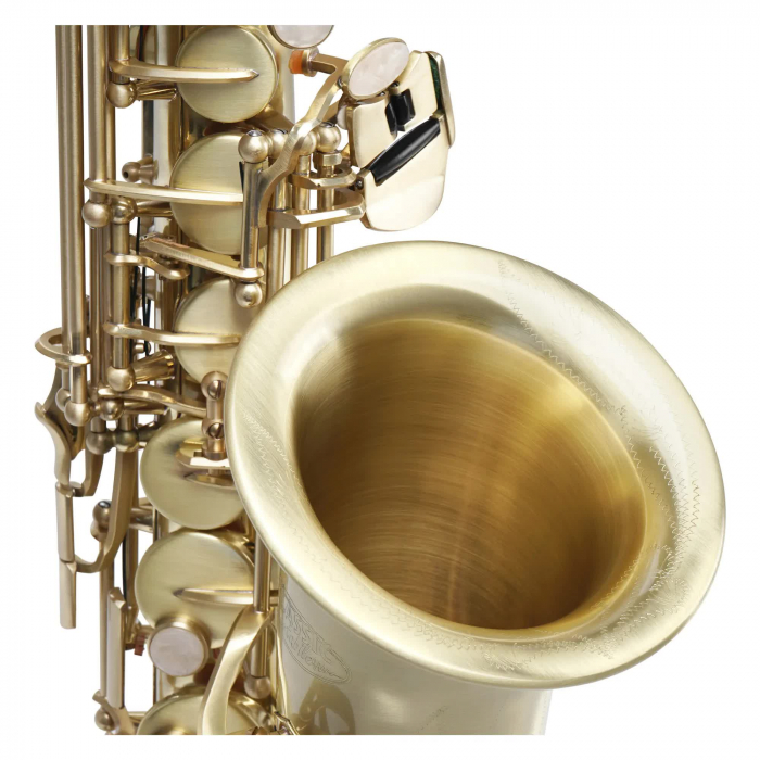 Saxofon Alto Classic Cantabile AS-450 Eb Gold Brushed [2]