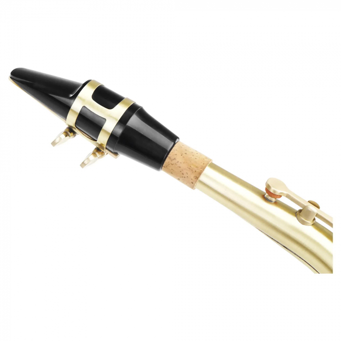 Saxofon Alto Classic Cantabile AS-450 Eb Gold Brushed [6]