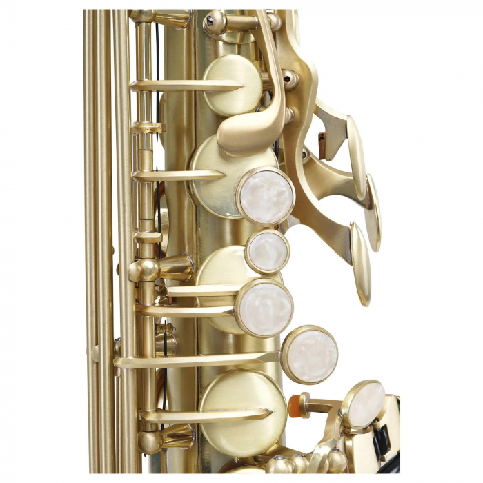 Saxofon Alto Classic Cantabile AS-450 Eb Gold Brushed [4]