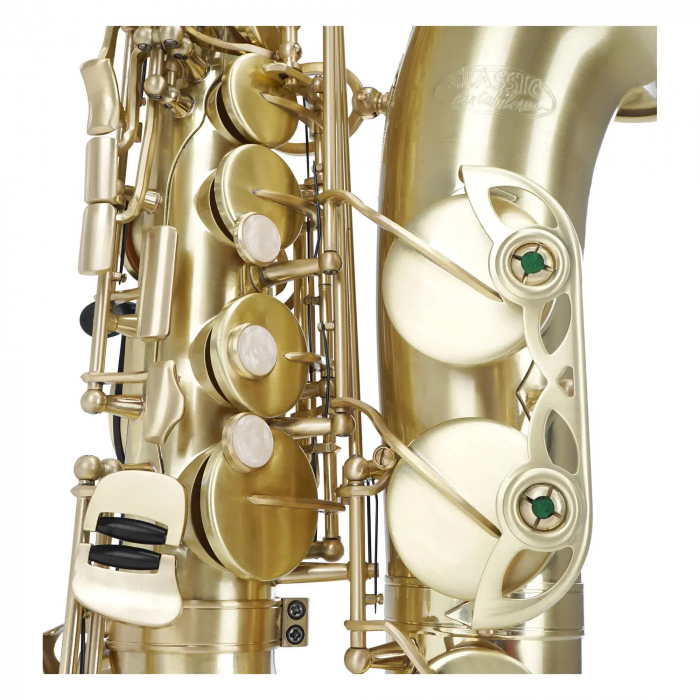 Saxofon Alto Classic Cantabile AS-450 Eb Gold Brushed [3]
