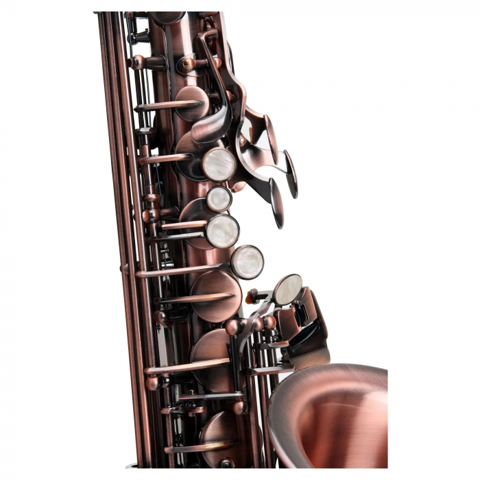 Saxofon Alto Classic Cantabile AS-450 Eb Antique Red Wine [4]