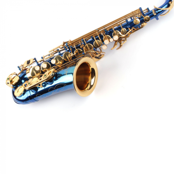 Saxofon Alto Karl Glaser® ALBASTRU [4]