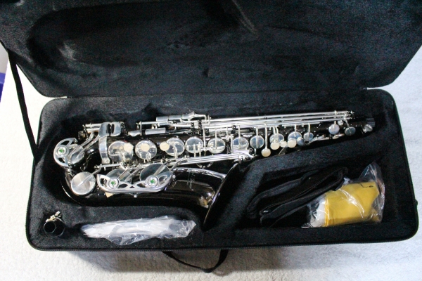 Saxofon Alto Karl Glaser® NEGRU+ARGINTIU Black&Silver [8]