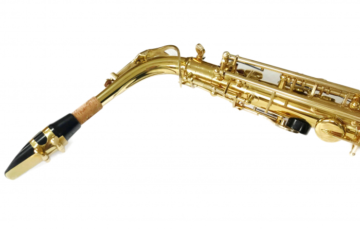 Saxofon Alto PARROT 6430L Auriu [5]