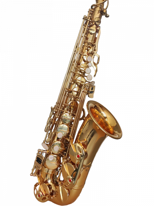 Saxofon Alto Parrot ZL118 Auriu [4]