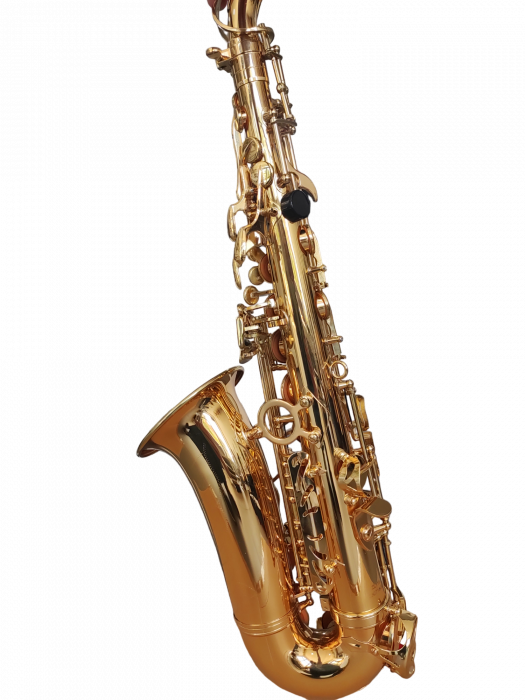 Saxofon Alto Parrot ZL118 Auriu [5]