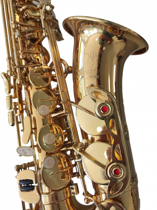 Saxofon Alto Parrot ZL118 Auriu [9]