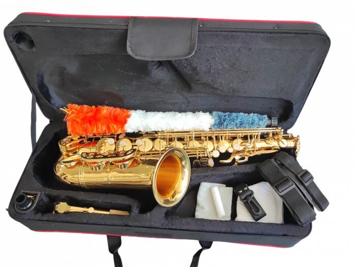 Saxofon Alto Parrot ZL118 Auriu [7]