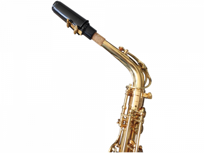 Saxofon Alto Parrot ZL118 Auriu [6]