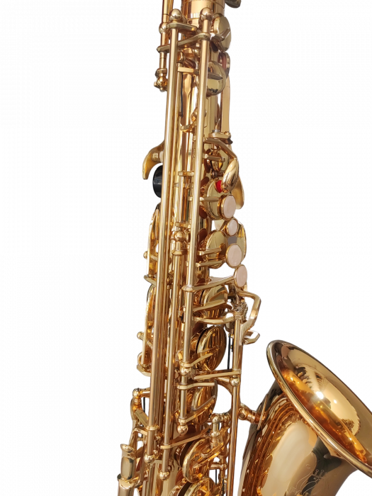 Saxofon Alto Parrot ZL118 Auriu [2]