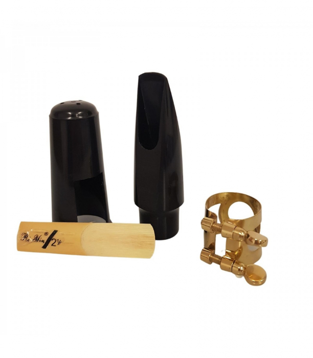 Set Mustiuc Saxofon Alto Parrot [3]