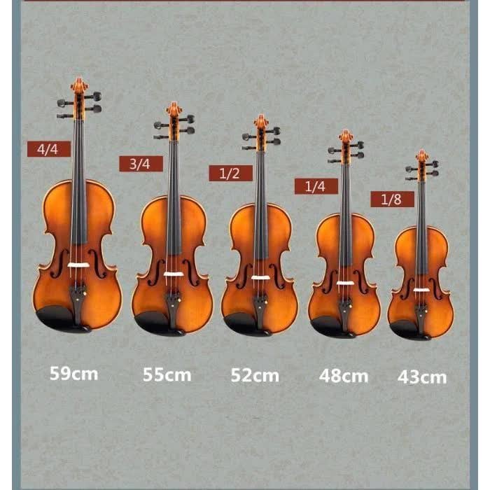 Set vioara 1/2 Startone Student I [9]