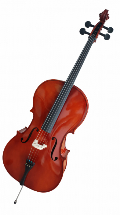 Set Violoncel Flame Natur 1/2 + husa + arcus [2]