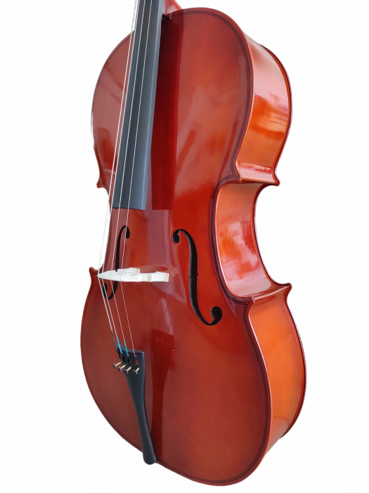 Set Violoncel Flame Natur 1/2 + husa + arcus [8]