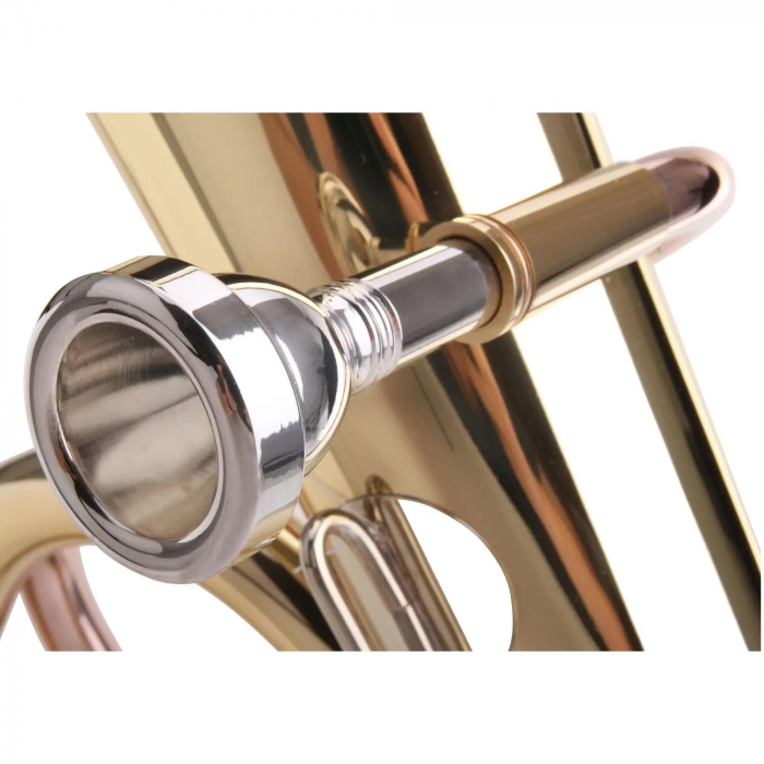 Tenor Horn Classic Cantabile TH-38 [4]