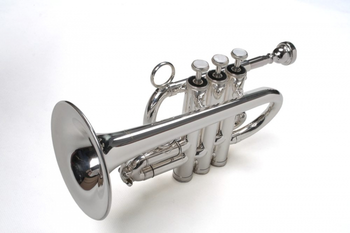 Trompeta Piccolo Bb/A Karl Glaser Trompete Silver [4]