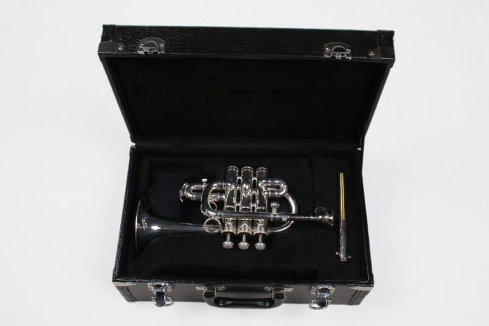 Trompeta Piccolo Bb/A Karl Glaser Trompete Silver [6]