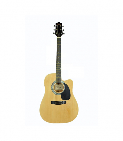 Chitara Electro-Acustica - Chitara electro-acustica Flame DG 100CT NA