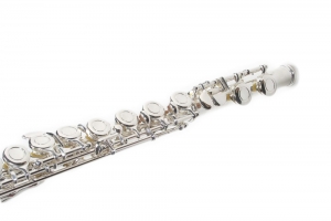 Flaut Karl Glaser Studio 111 C SILVER [3]