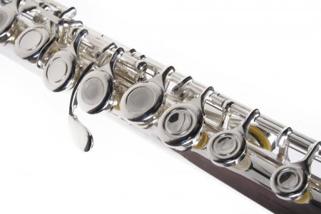 Flaut Parrot 6456 Silver Flute C [1]