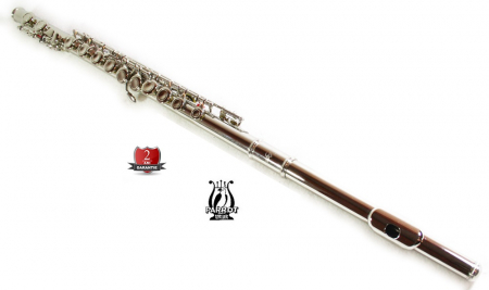 Set Flaut - Flaut Parrot 6456 Silver Flute C