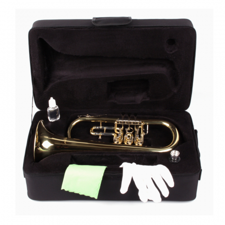 Fligorn FlugelHorn Karl Glaser 3 clape Bb [1]