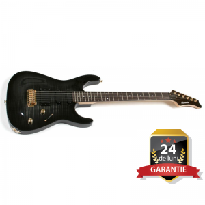 Chitara Electrica - Chitara Electrica Heavy Santander Pro 6 corzi