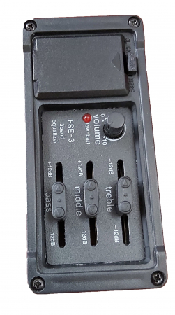 Mandolina Portughez I Electro acustica 1 EQ  Hora Reghin [1]