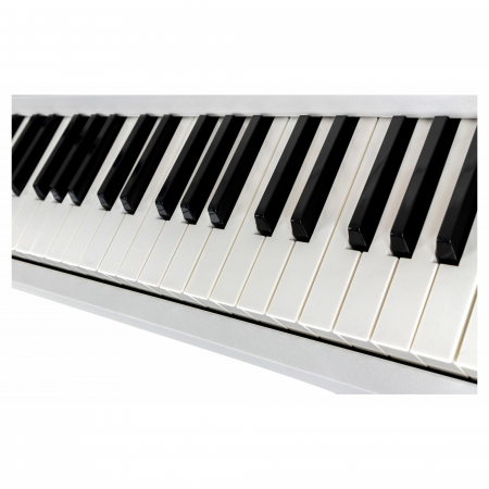 Orga FunKey 61 Edition Touch WH ALB [9]