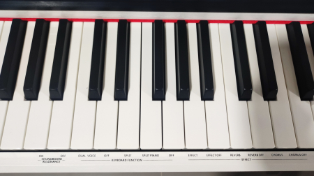 Pian Digital Pearl River F-12 WH ALB [2]