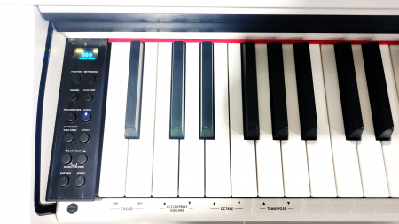 Pian Digital Pearl River F-12 WH ALB [3]
