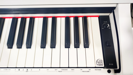 Pian Digital Pearl River F-12 WH ALB [4]