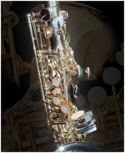 Saxofon Alto Karl Glaser® Argintiu Vintage DEMO [6]