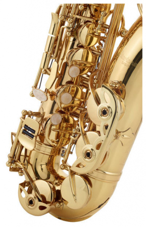 Saxofon Alto PARROT 6430L Auriu [3]