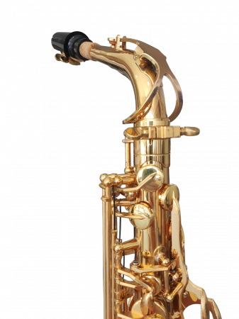 Saxofon Alto Parrot ZL118 Auriu [2]