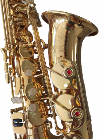 Saxofon Alto Parrot ZL118 Auriu [8]