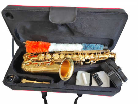 Saxofon Alto Parrot ZL118 Auriu [6]