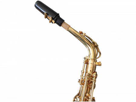 Saxofon Alto Parrot ZL118 Auriu [5]