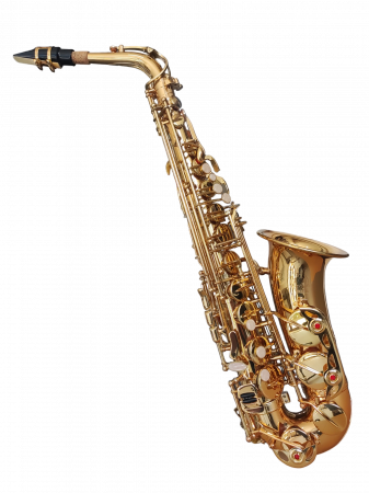Alto Saxofon - Saxofon Alto Parrot ZL118 Auriu