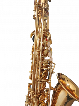 Saxofon Alto Parrot ZL118 Auriu [1]