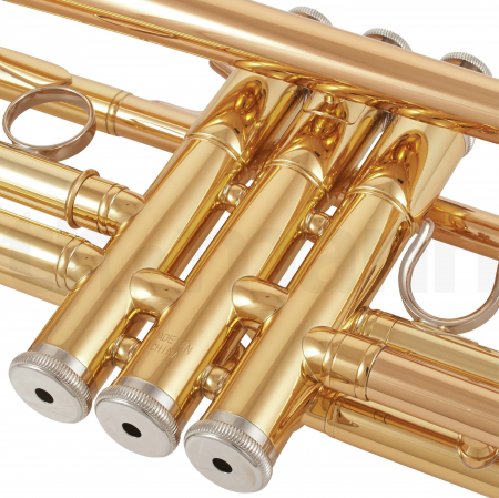 Trompeta Bb Yamaha YTR-4335 G2 Auriu [9]