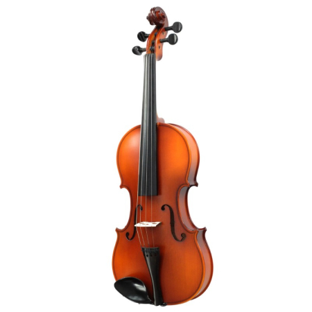 Viori - Vioara 4/4 Economica Standard Hora Reghin