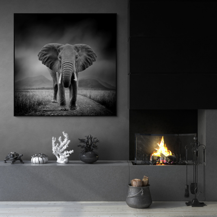Tablou decorativ, Intaglio, neinramat, print pe hartie foto Fine Art, Alb Negru, Elefantportret animale salbatice, pentru camera living [1]