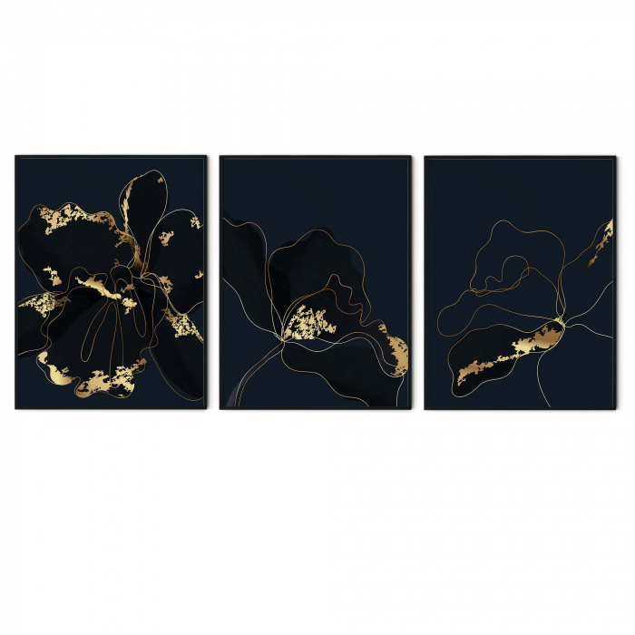 Set 3 tablouri, Intaglio, Stil Abstracte, print pe hartie foto Fine Art, Auriu, Flori pe fundal negru, postere moderne, pentru living [6]